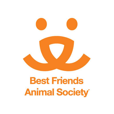 Best Friends Animal Society Organizations who care about Siamese cats