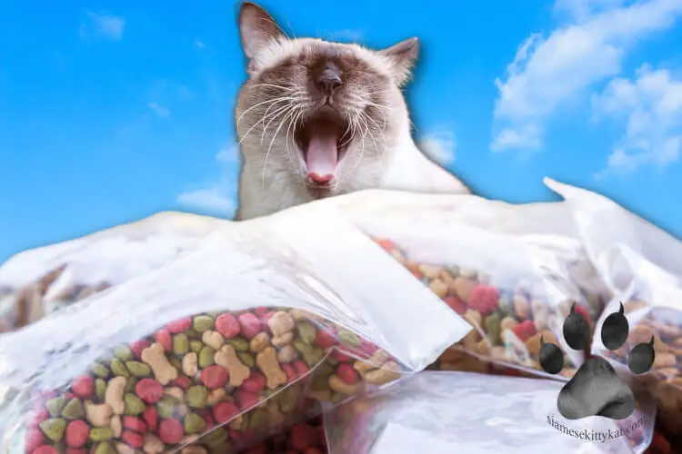 Photo of a Siamese cat reacting to the pile of cat food given to him...