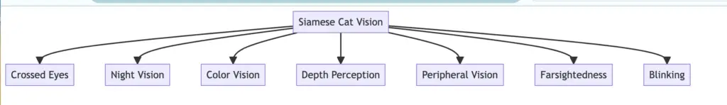 Here is a chart I designed of the Siamese cat vision facts.
This chart visualises the facts about siamese cats eyesight and vision in this article. 