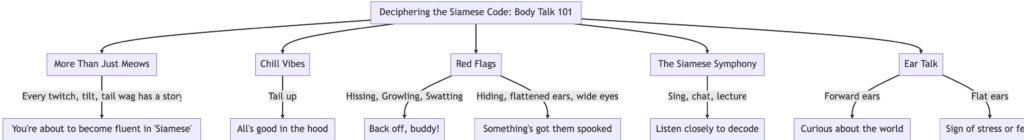 Siamese Cat Body Language Chart