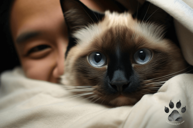 Siamese cat cuddled up with his smiling owner