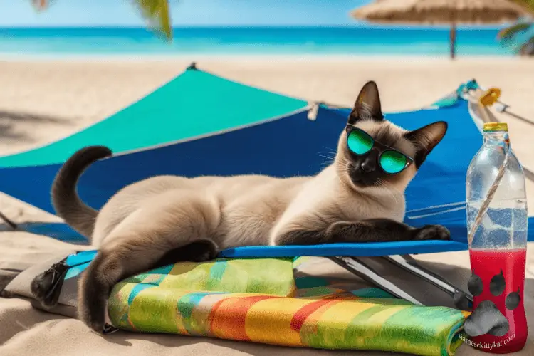 Siamese cat with sunglasses lying on a beach mat with blue shores in the background